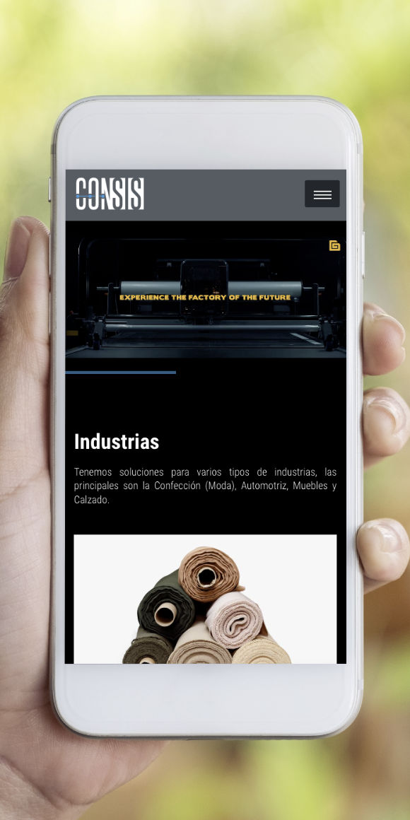 Control sistematizado