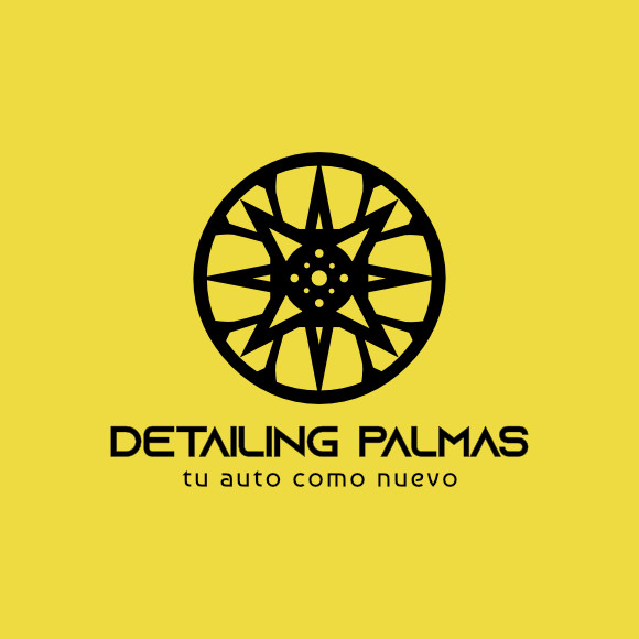 Detailing Palmas