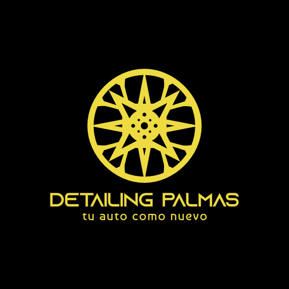 Detailing Palmas