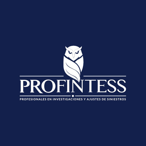 Profintess