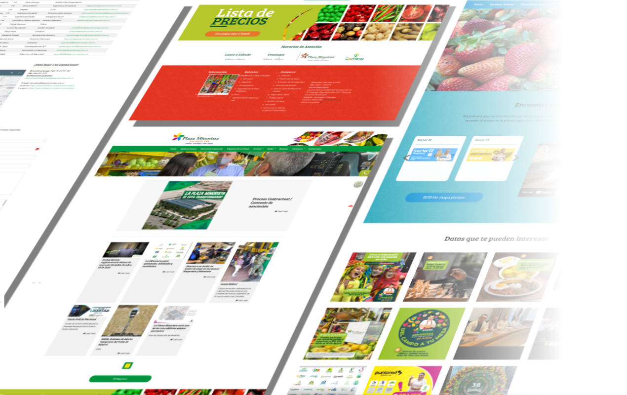 Portafolio /&nbsp;Diseño web&nbsp;/&nbsp;Plaza Minorista