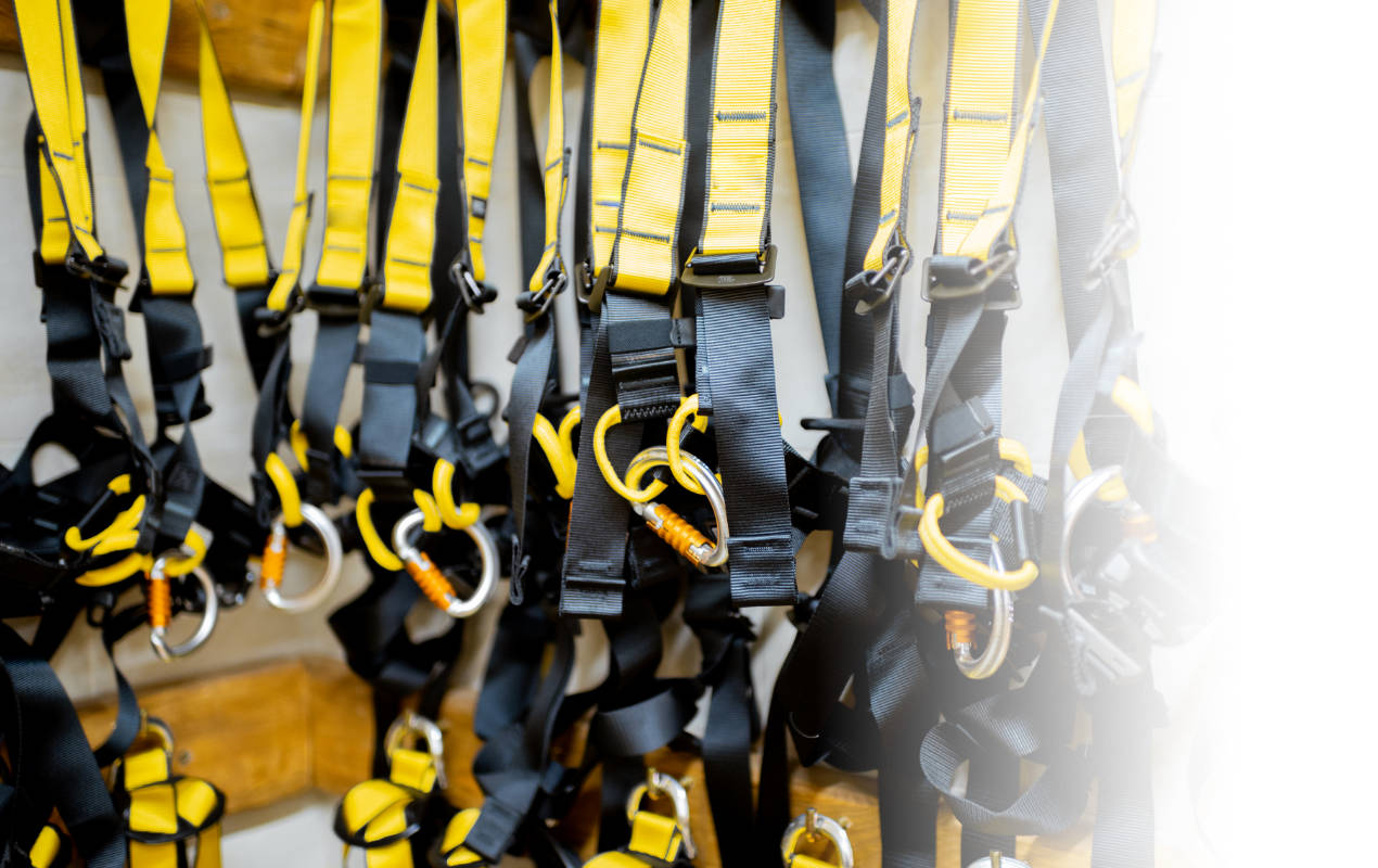 Portafolio /&nbsp;Imagen corporativa&nbsp;/&nbsp;Bandas y Correas